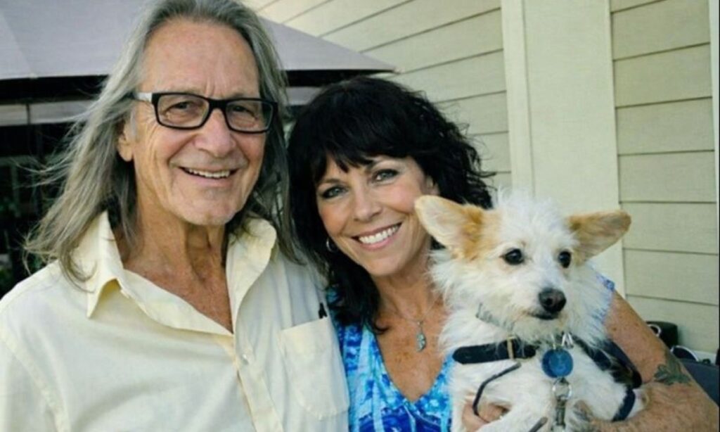 hollywoods-take-blow-and-public-perception